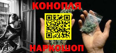 хмурый Новозыбков