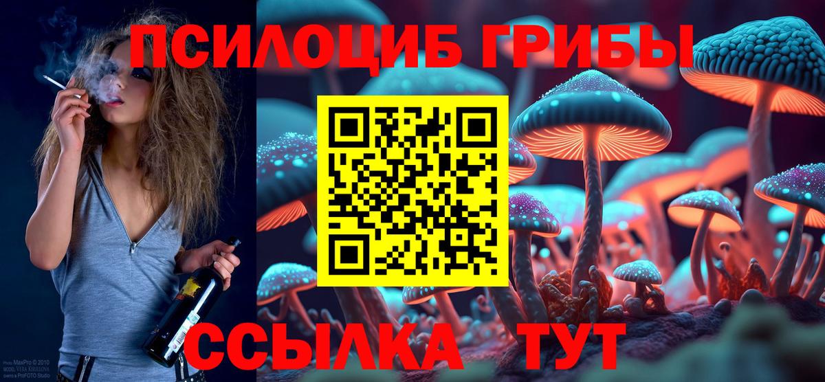 Галлюциногенные грибы Cubensis Ртищево