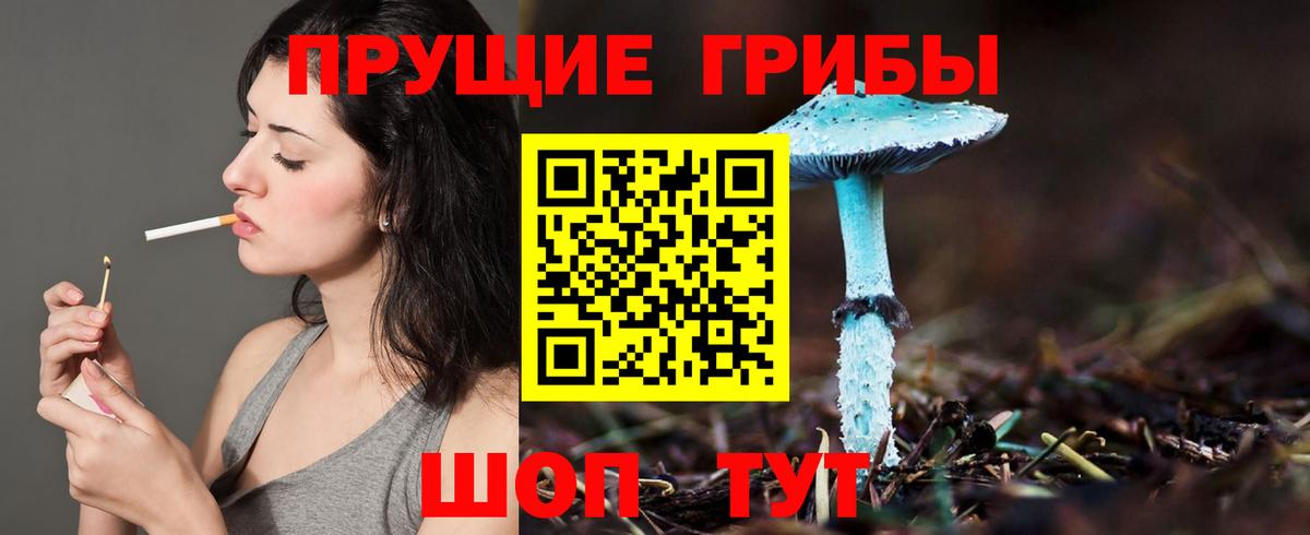 Ртищево  где купить наркотик  Вход с VPN  Псилоцибиновые грибы мухоморы  Псилоцибиновые грибы Psilocybe 